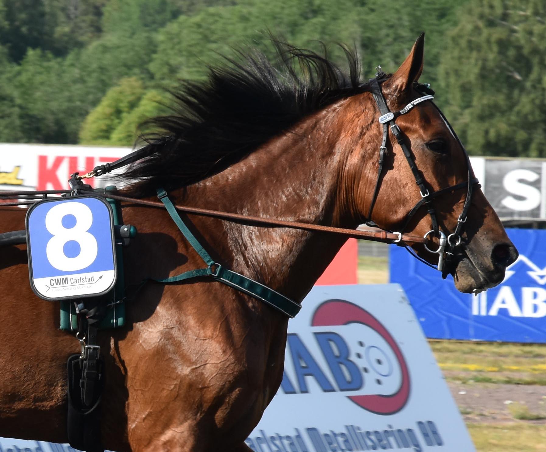 Futurity 230619-12